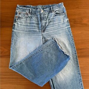 American Eagle Strigid Curvy High Rise Baggy Straight Jeans